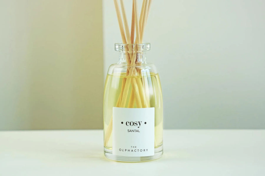 Mikado Cosy Santal The Olphactory فواحة معطرة - صندل - ١٠٠ مل