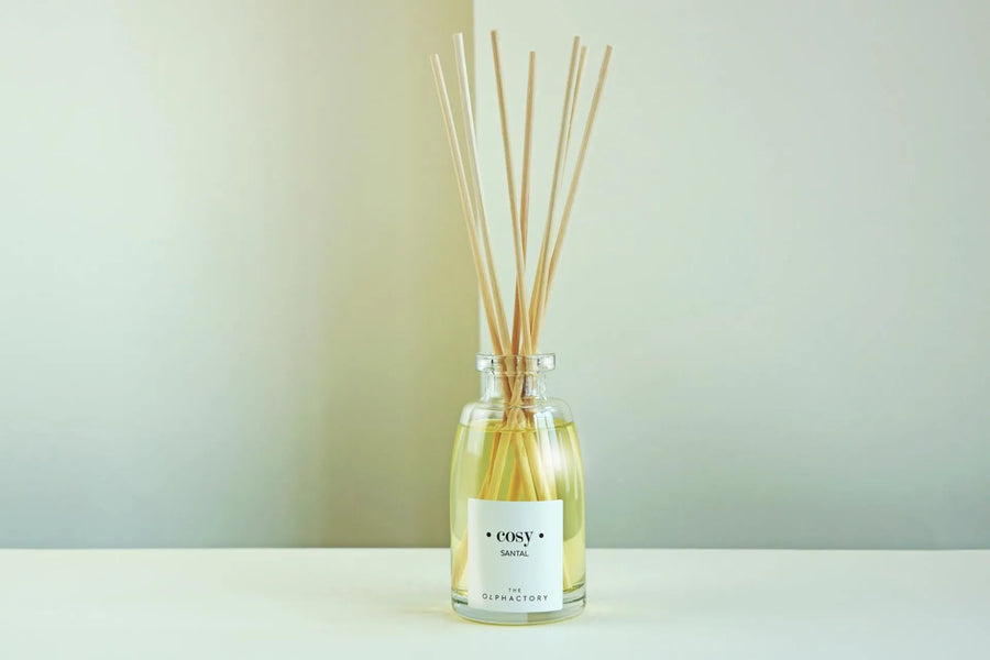 Mikado 100 ml Diffuser Cosy Santal