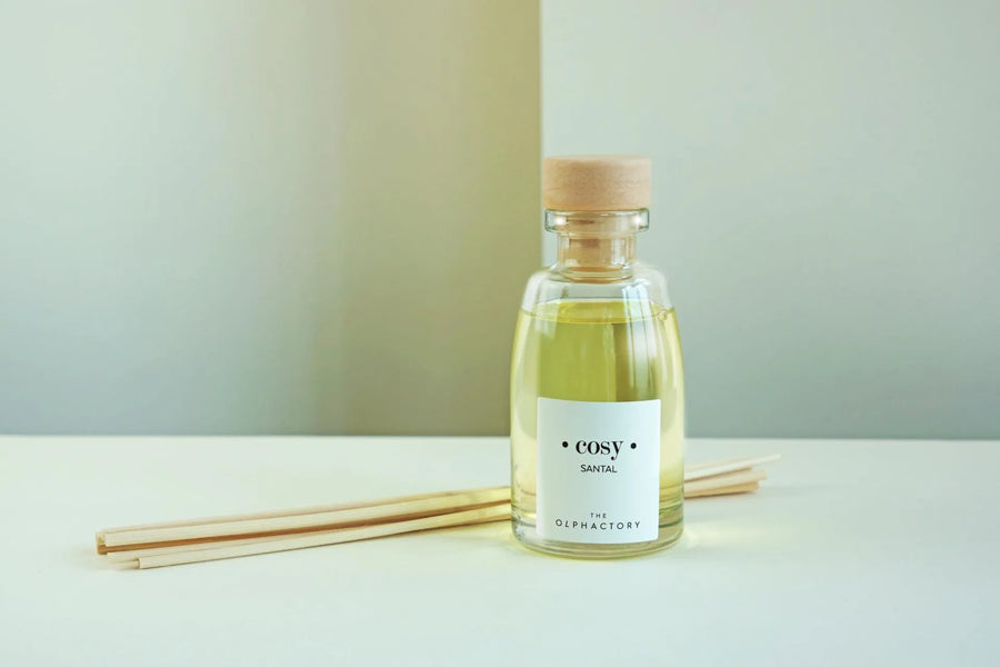 Mikado 100 ml Diffuser Cosy Santal