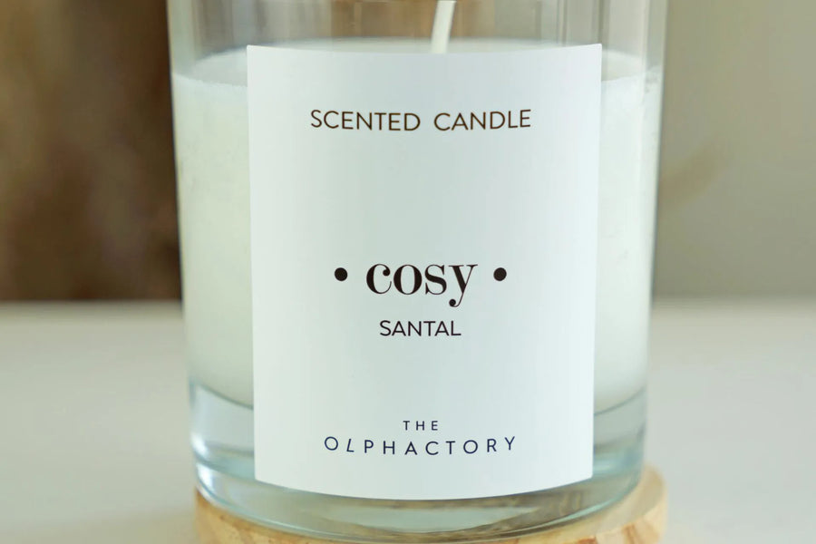 Scented Candle Glass 40h Cosy Santal